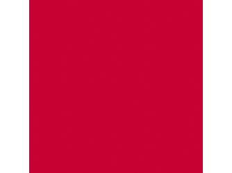 Standard HPL-Platte Red VL 2600x1300x0.8mm
