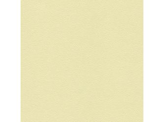Standard HPL-Platte U522 PE Beige