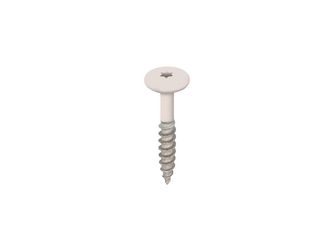 Torx Schrauben 32mm V2A 100 Stck Creme