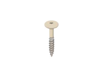 Torx Schrauben 32mm V2A 100 Stck Hell elfenbein