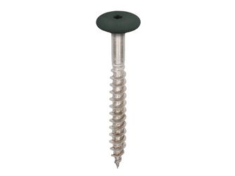 Torx Schrauben 45mm V4A 100 Stck Dunkelgrün