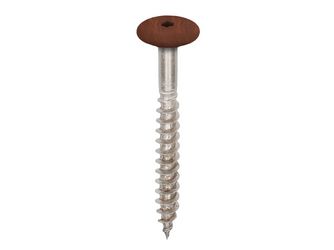 Torx Schrauben 45mm V4A 100 Stck Golden oak