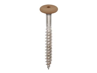 Torx Schrauben 45mm V4A 100 Stck Natur eiche