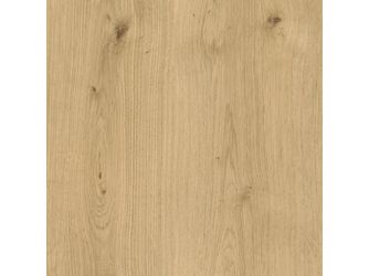 Treppenstufen XL PPD087 1380x670x60 mm