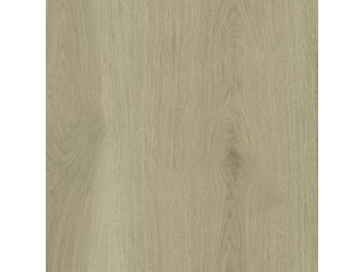 Treppenstufen XL PPD154 1380x670x60 mm