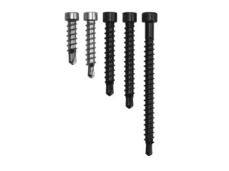 UNIA1, 4,2x28mm Edelstahl schwarz VG TX20 100 Stück