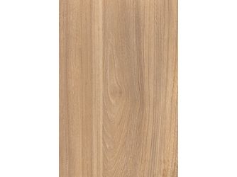 Verbundelement A/A 3050x1300mm Typ Multiplex Arpa AP4539 Aleve ulme mercurio 18,2mm stark