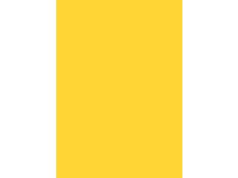Verbundelement A/A 3050x1300mm Typ Span P2 Formica FM1485 M58 chromgelb 9,4mm stark Verbundelement A/A 3050x1300mm Typ Span P2 Formica FM1485 M58 chromgelb 9,4mm stark