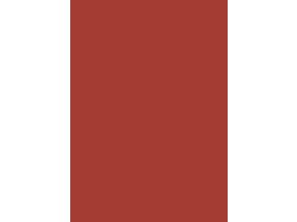 Verbundelement A/A 3050x1300mm Typ Span P2 Formica FM2005 M58 paprika 13,4mm stark Verbundelement A/A 3050x1300mm Typ Span P2 Formica FM2005 M58 paprika 13,4mm stark
