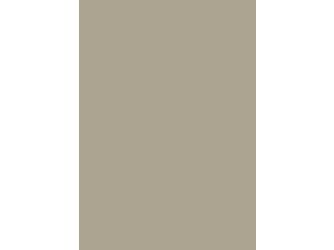 Verbundelement A/A 3050x1300mm Typ Span P2 Formica FM3202 M58 otter 13,4mm stark Verbundelement A/A 3050x1300mm Typ Span P2 Formica FM3202 M58 otter 13,4mm stark