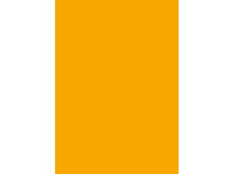 Verbundelement A/A 3050x1300mm Typ Span P2 Formica FM4155 M58 lima 9,4mm stark Verbundelement A/A 3050x1300mm Typ Span P2 Formica FM4155 M58 lima 9,4mm stark