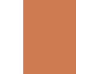 Verbundelement A/A 3050x1300mm Typ Span P2 Formica FM4161 M58 terracotta 9,4mm stark Verbundelement A/A 3050x1300mm Typ Span P2 Formica FM4161 M58 terracotta 9,4mm stark