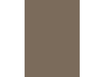 Verbundelement A/A 3050x1300mm Typ Span P2 Formica FM5342 M58 gaia 9,4mm stark Verbundelement A/A 3050x1300mm Typ Span P2 Formica FM5342 M58 gaia 9,4mm stark