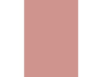Verbundelement A/A 3050x1300mm Typ Span P2 Formica FM8238 M58 rosé 13,4mm stark Verbundelement A/A 3050x1300mm Typ Span P2 Formica FM8238 M58 rosé 13,4mm stark