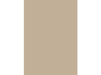 Verbundelement A/A 3050x1300mm Typ Span P2 Formica FM8751 M58 mojave 9,4mm stark Verbundelement A/A 3050x1300mm Typ Span P2 Formica FM8751 M58 mojave 9,4mm stark