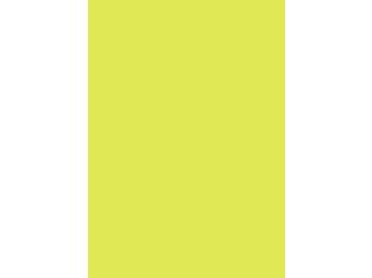 Verbundelement A/A 3050x1300mm Typ Span P2 Formica FM8755 M58 limette 13,4mm stark Verbundelement A/A 3050x1300mm Typ Span P2 Formica FM8755 M58 limette 13,4mm stark