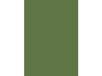 Verbundelement A/A 3050x1300mm Typ Span P2 Formica FM8796 M58 algengrün 9,4mm stark Verbundelement A/A 3050x1300mm Typ Span P2 Formica FM8796 M58 algengrün 9,4mm stark