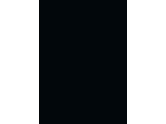 Verbundelement A/A 3050x1310mm Typ Span P2 A1 C schwarz 9,4mm stark Verbundelement A/A 3050x1310mm Typ Span P2 A1 C schwarz 9,4mm stark