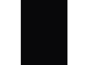 Verbundelement A/A 3050x1310mm Typ Span P2 A1 Pma schwarz 9,4mm stark Verbundelement A/A 3050x1310mm Typ Span P2 A1 Pma schwarz 9,4mm stark