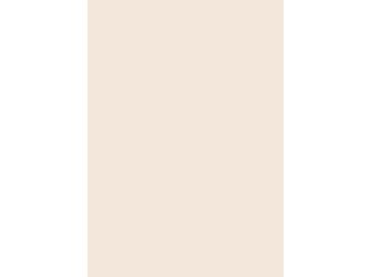 Verbundelement A/A 3050x1310mm Typ Span P2 A227 Pe hellbeige 9,4mm stark Verbundelement A/A 3050x1310mm Typ Span P2 A227 Pe hellbeige 9,4mm stark