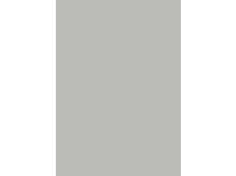 Verbundelement A/A 3050x1310mm Typ Span P2 A4 Pe grau 9,4mm stark Verbundelement A/A 3050x1310mm Typ Span P2 A4 Pe grau 9,4mm stark