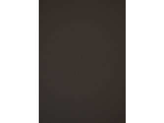 Verbundplatte A/A Fenix 3050x1300mm Typ Span P2 FX0793 NTM grigio aragona 29,4mm stark