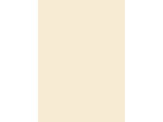 Verbundplatte Direktbeschichtung 3050x1310mm Typ Span P2-FR A320 Pma sand 16mm stark Verbundplatte Direktbeschichtung 3050x1310mm Typ Span P2-FR A320 Pma sand 16mm stark
