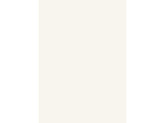 Verbundplatte Direktbeschichtung 4100x1310mm Typ Span P2-FR A242 Pe uni weiß 16mm stark Verbundplatte Direktbeschichtung 4100x1310mm Typ Span P2-FR A242 Pe uni weiß 16mm stark