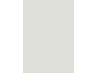 Verbundplatte Direktbeschichtung 4100x1310mm Typ Span P2-FR A420 Pe polargrau 16mm stark Verbundplatte Direktbeschichtung 4100x1310mm Typ Span P2-FR A420 Pe polargrau 16mm stark