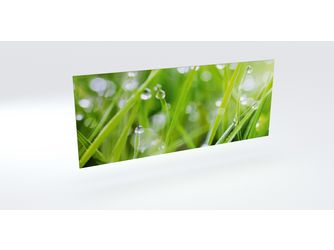 WandArt easy Kompaktschichtstoff 1200x585mm D4002P Bril grass WandArt easy Kompaktschichtstoff 1200x585mm D4002P Bril grass