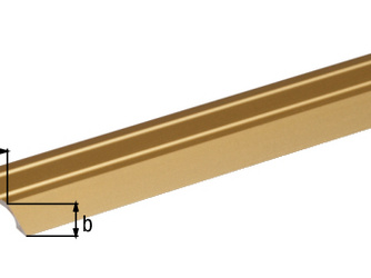 Ausgleichsprofil selbstkl., Alu gold elox., LxBxHxS 900x30x4x2,0mm Ausgleichsprofil selbstkl., Alu gold elox., LxBxHxS 900x30x4x2,0mm
