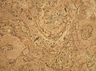 Korkboden Barriga natur - Q-exclusivo Korkboden Barriga natur - Q-exclusivo