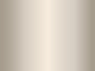 Combi Ausgleichs-Profil PF 376V Alu sand eloxiert Combi Ausgleichs-Profil PF 376V Alu sand eloxiert