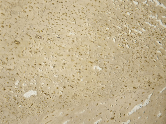 Korkboden creme EV 5140 - Paco Korkboden creme EV 5140 - Paco
