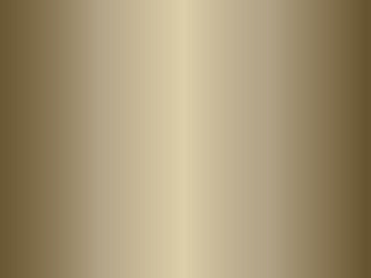 Einfassprofil PF 221 7-8 mm Alu bronze eloxiert Einfassprofil PF 221 7-8 mm Alu bronze eloxiert