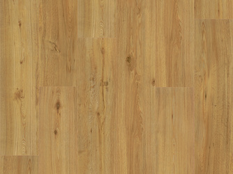 Klick-Vinylboden SPC Eiche Natur Landhausdiele - Basic 5.3 Klick-Vinylboden SPC Eiche Natur Landhausdiele - Basic 5.3