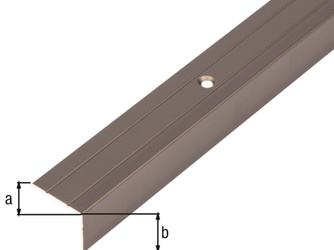 Treppenkanten-Schutzprofil Alu bronze eloxiert BxHxS 25x20x1,5mm Treppenkanten-Schutzprofil Alu bronze eloxiert BxHxS 25x20x1,5mm