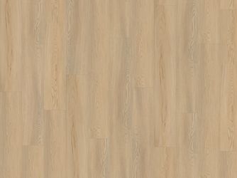 Klick-Vinylboden massiv Calm Ash Beige Landhausdiele - wineo 400 wood XL