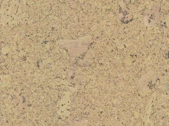 Korkboden Rapid Sand lackiert lackiert - Corknatura