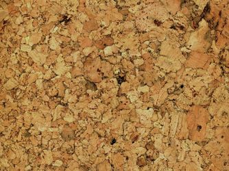 Korkboden Spurt Natur lackiert lackiert - Corknatura