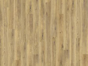 Korkboden Ariana Oak Landhausdiele lackiert - Natural XL