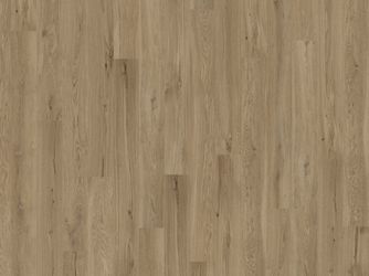 Korkboden Dakota Oak Landhausdiele lackiert - Natural XL