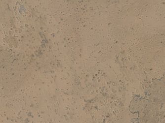 Korkboden Harmony sand HWÖ Landhausdiele geölt - Korkplus Korkboden Harmony sand HWÖ Landhausdiele geölt - Korkplus
