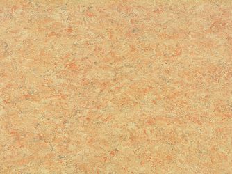 Linoleumboden Crema Kurzdiele - Lino-klick Linoleumboden Crema Kurzdiele - Lino-klick