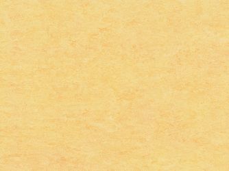 Linoleumboden Vanilla Kurzdiele - Lino-klick Linoleumboden Vanilla Kurzdiele - Lino-klick