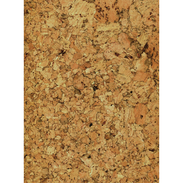 Korkboden Spurt Natur lackiert lackiert - Corknatura