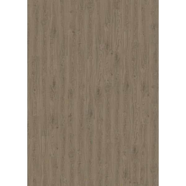 Korkboden Eiche nougat Basic Landhausdiele lackiert - Designatura