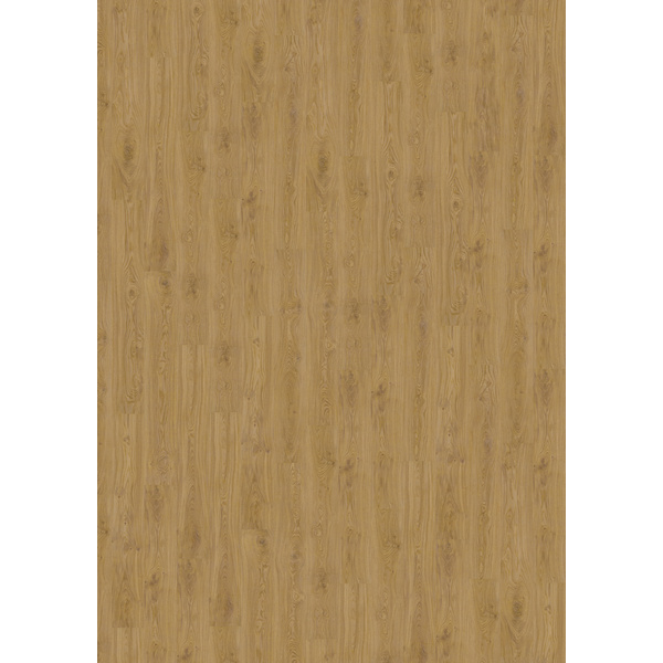 Korkboden Eiche select Basic Landhausdiele lackiert - Designatura