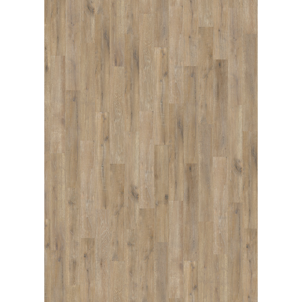 Korkboden Eiche Sonne Landhausdiele lackiert - Designatura