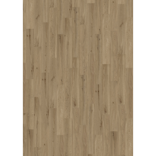 Korkboden Eiche Neptun Landhausdiele lackiert - Designatura